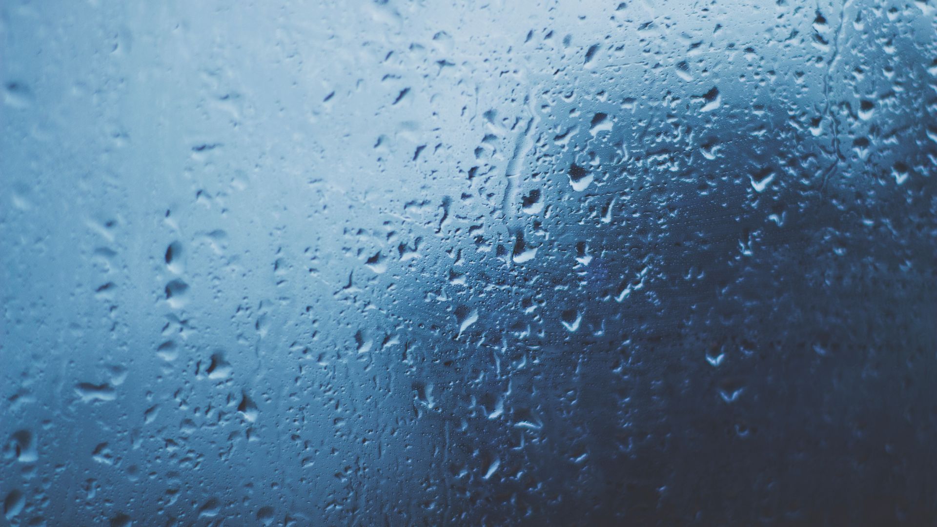 Rain X : Avantages et Comment Appliquer cet Anti Pluie